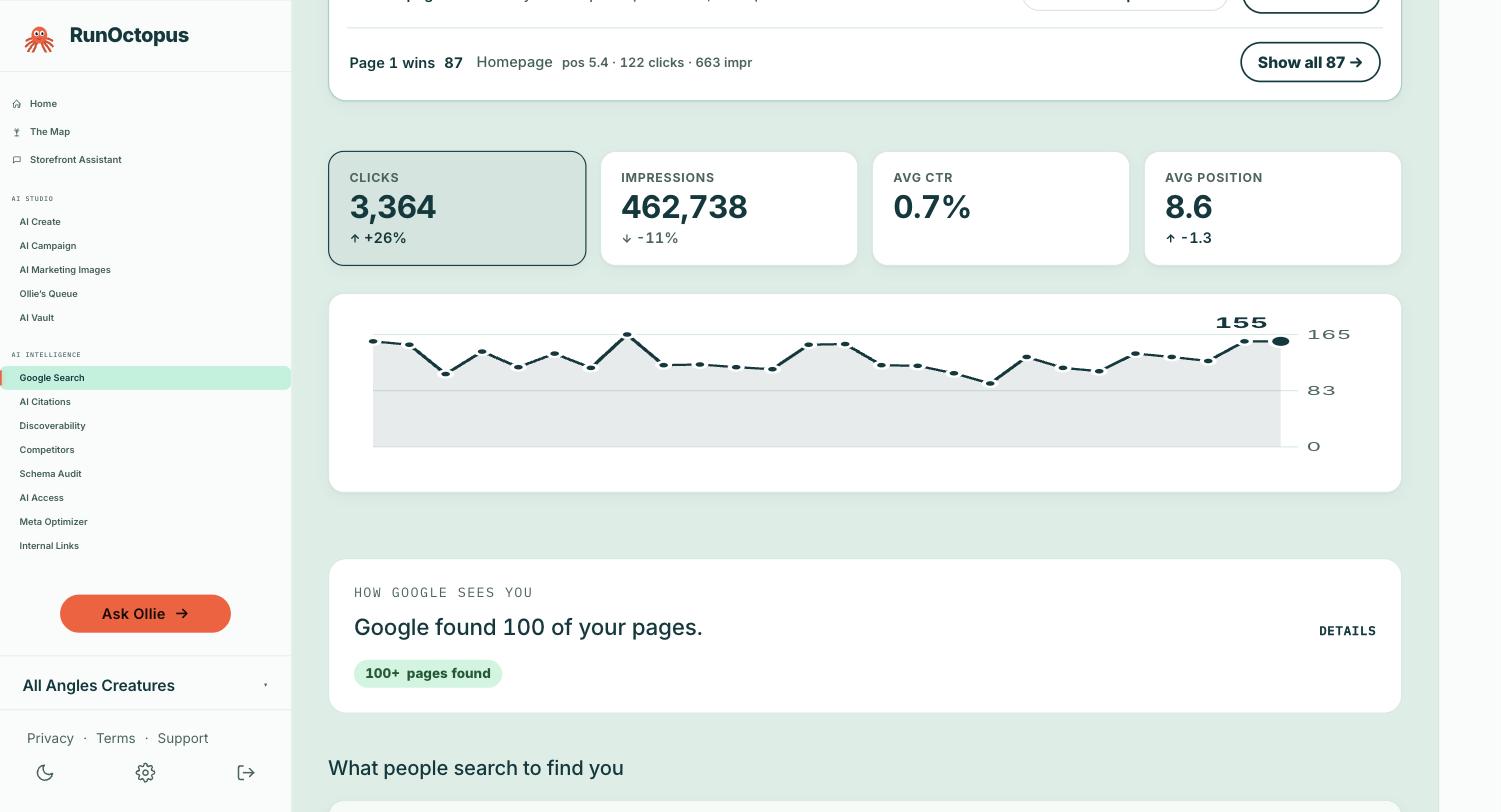 The Google Search screen showing pages on page one, clicks and impressions pulled from Search Console.